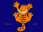 Garfield kép 3